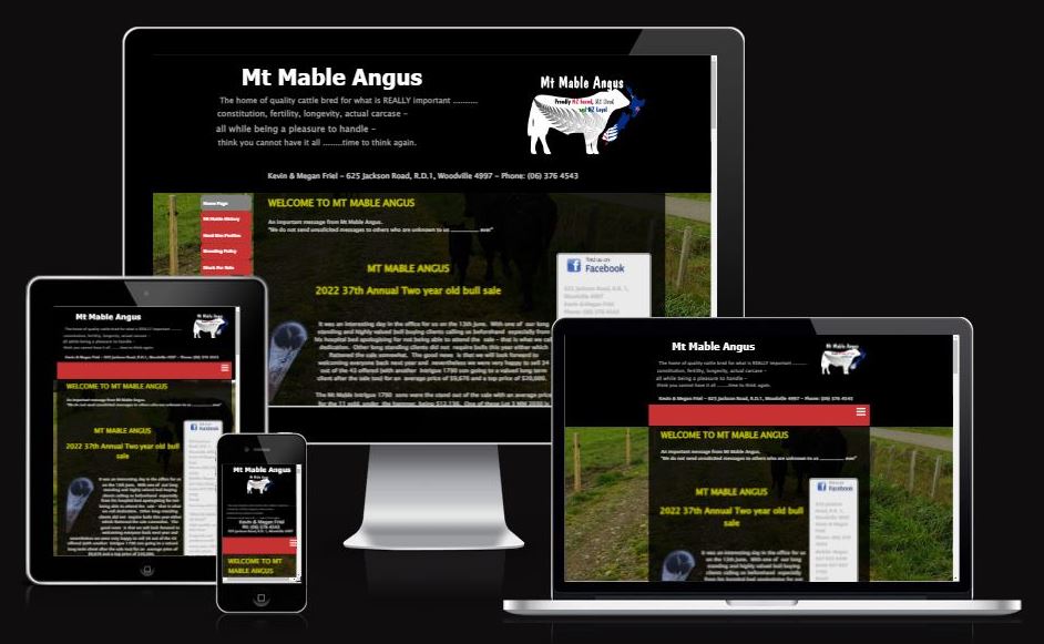 Website design for rural business on laptop